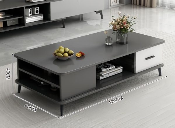 Model RG-CT08-1