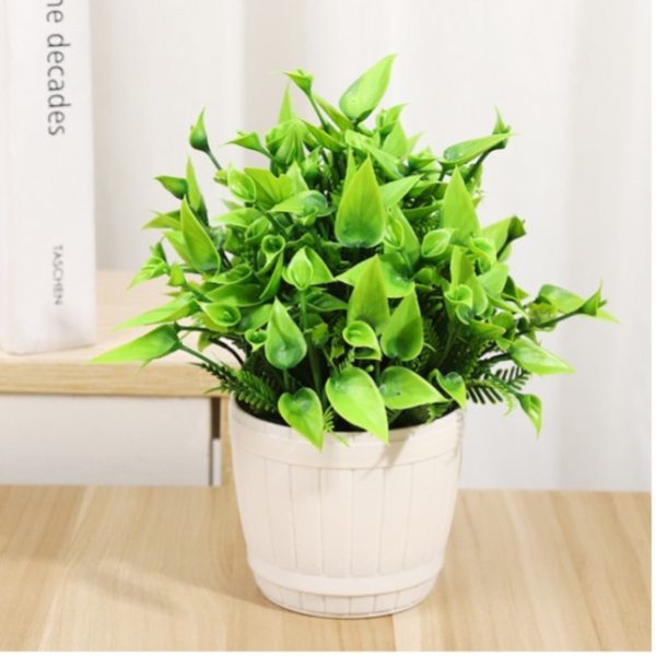 Table Bonsai